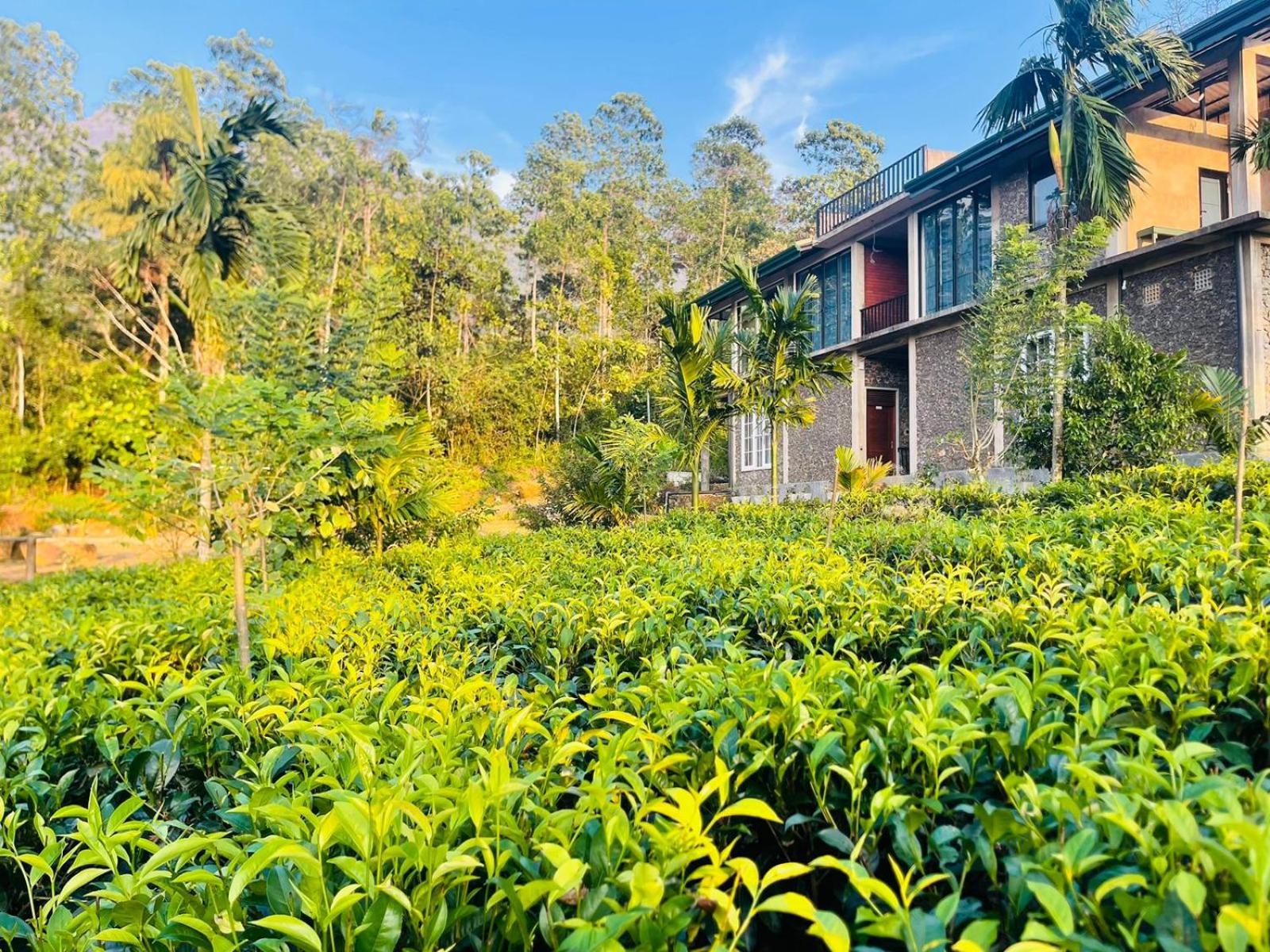 Palabaddala Tea And Eco Lodge Ratnapura Exterior foto