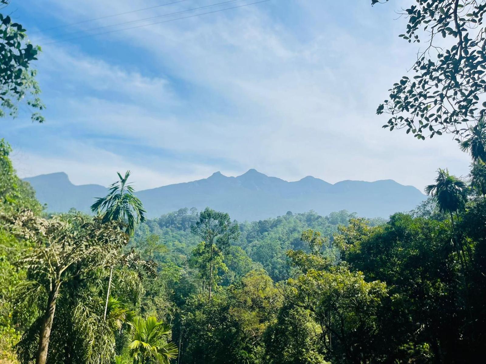 Palabaddala Tea And Eco Lodge Ratnapura Exterior foto